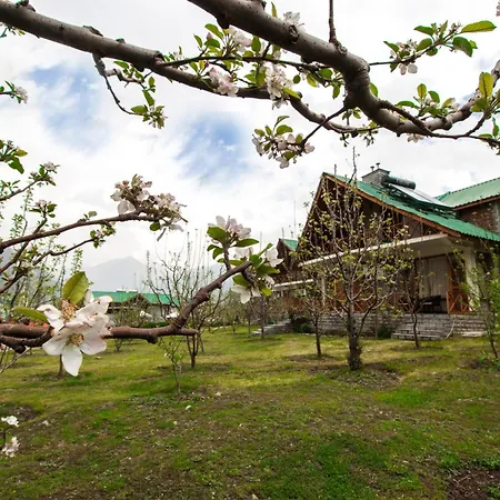Larisa Resort Manali-2