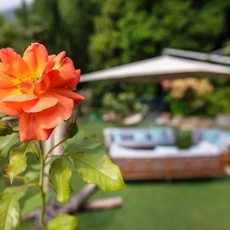 Parkhotel Brenscino Brissago-3