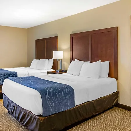 Comfort Inn Bozeman Near University-3
