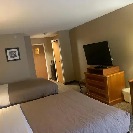 Hampton Inn Chelsea, Mi-3
