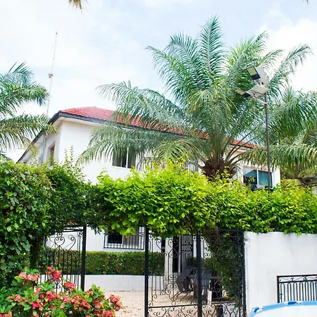 House Of Ivy-2
