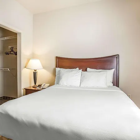 Mainstay Suites St Robert - Fort Leonard Wood-3