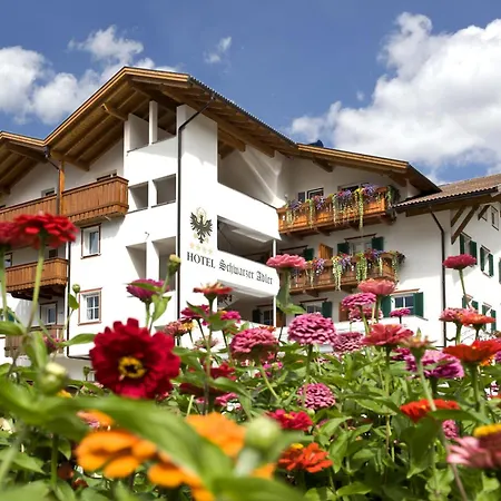 Schwarzer Adler-2