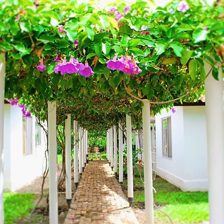 Villa Alejandra-3
