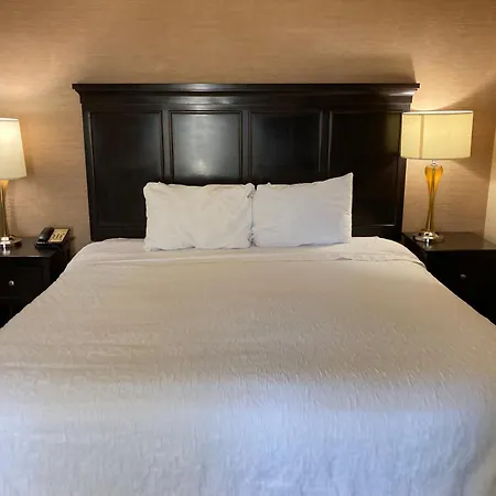 Hampton Inn & Suites Carlsbad-3