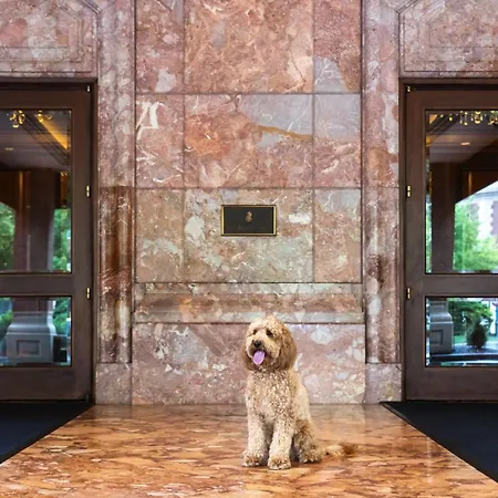 The Ritz-Carlton, St. Louis-2