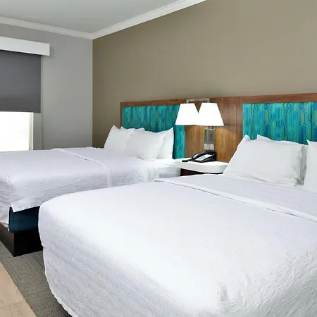 Hampton Inn & Suites Greenville-3
