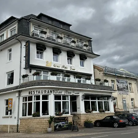 Hotel Whiteswan-3