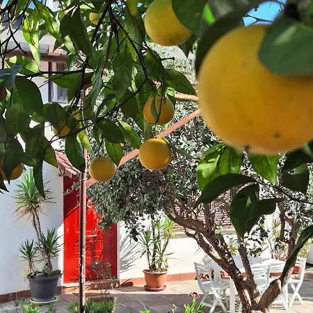Giallo Limone B&B-2