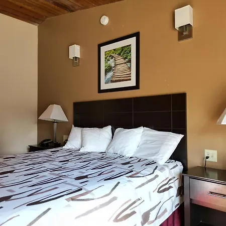 The Putney Inn-2