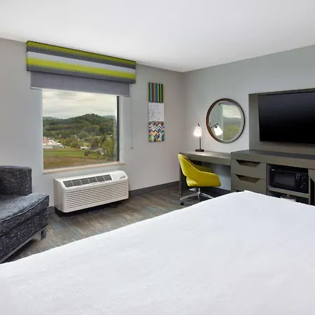 Hampton Inn Elkins-3