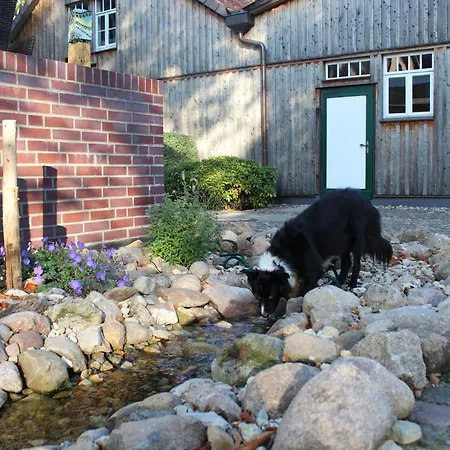 Landgasthof Wildwasser-3