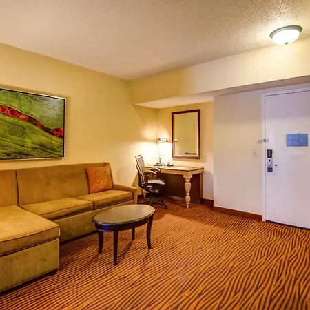 Hilton Garden Inn Tampa Ybor Historic District-2