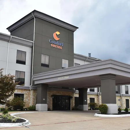 Comfort Suites Forrest City-3