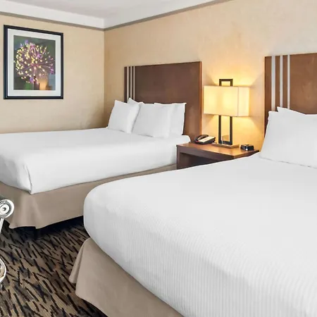 Best Western Plus Pitt Meadows Inn & Suites-2