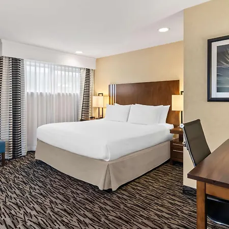 Best Western Plus Pitt Meadows Inn & Suites-2