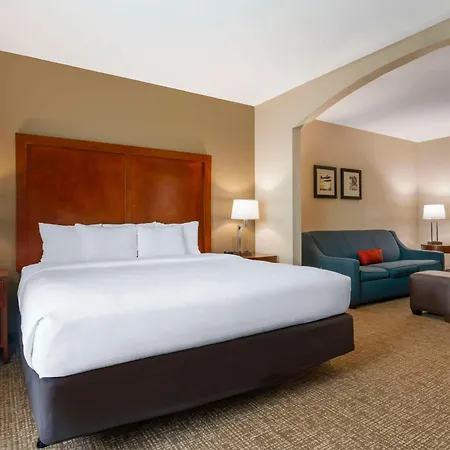 Comfort Inn & Suites Tavares North-3
