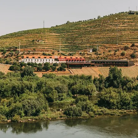 Torel Quinta Da Vacaria - Douro Valley-3