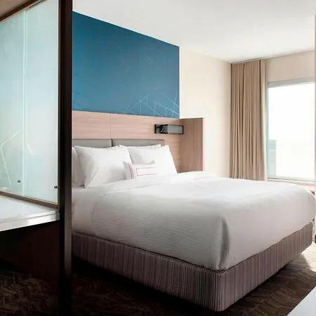 Springhill Suites By Marriott Tampa Suncoast Parkway-3
