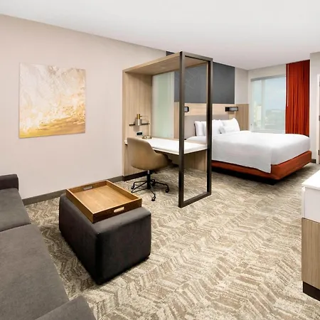 Springhill Suites By Marriott Punta Gorda Harborside-3