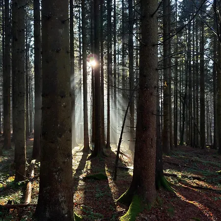Maiers Hotel-2