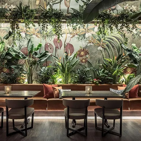 Thesis Hotel Miami Coral Gables, Curio Collection By Hilton-2