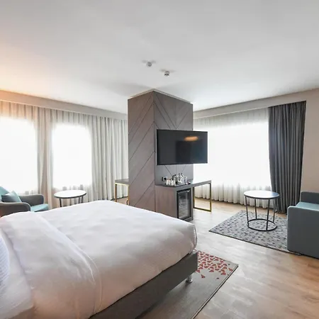Crowne Plaza Ankara By Ihg-3