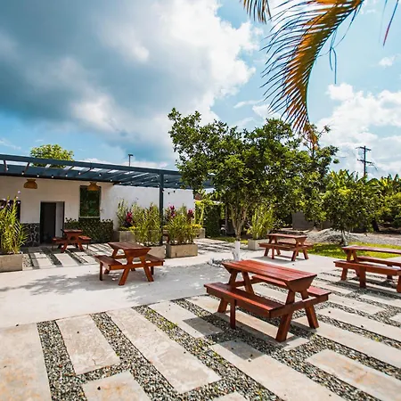 Finca Hotel Palmas Del Edén-3
