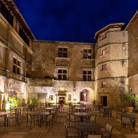 Château Des Ducs De Joyeuse-3