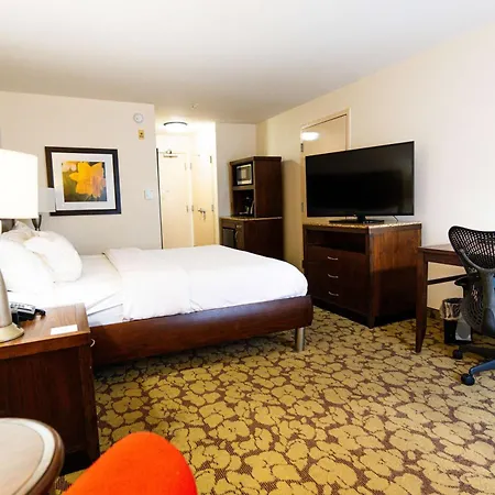 Wyndham Garden New Orleans Airport-3
