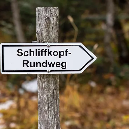 Nationalpark-Hotel Schliffkopf-2
