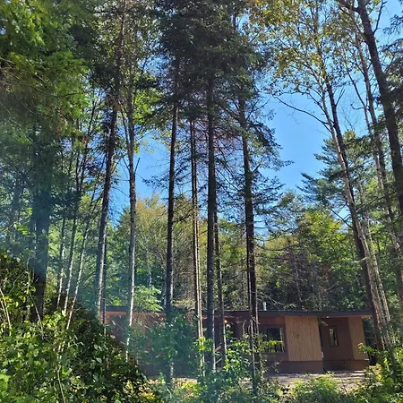 Nomi Resort-3