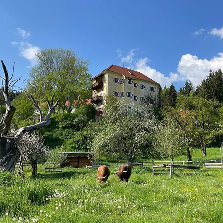Hotel Landsitz Pichlschloss-2