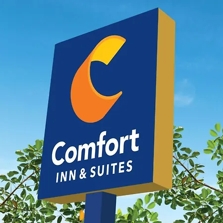 Comfort Inn & Suites Rome South-2