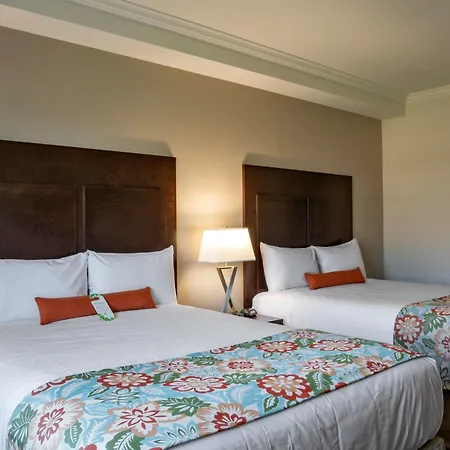 Coast Oliver Hotel-3