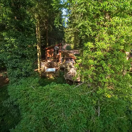Glentress Forest Cabins - Forest Holidays-3