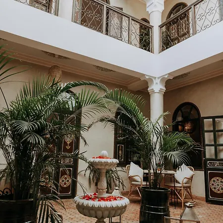 Riad Bamaga-2