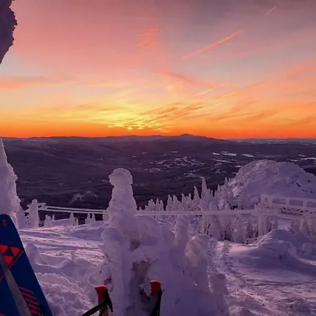 Berghotel Mooshütte Naturidyll auf 950m-3