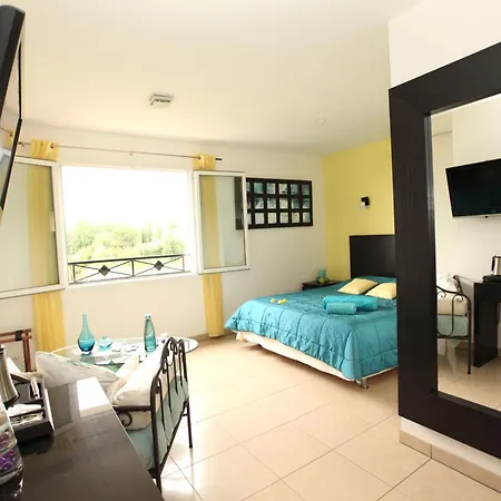 Chambres d'hôtes - Villa CARPE DIEM TOLOSA-3