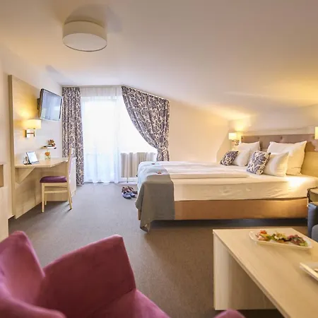 Thermenhotel Ströbinger Hof-3