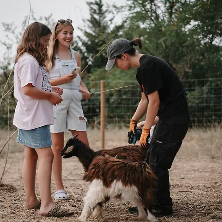 Chateau Les Carrasses-3