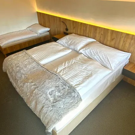 Wellness Hotel Svornost-2
