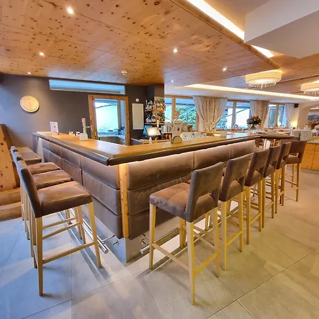 Hotel Alpina-2