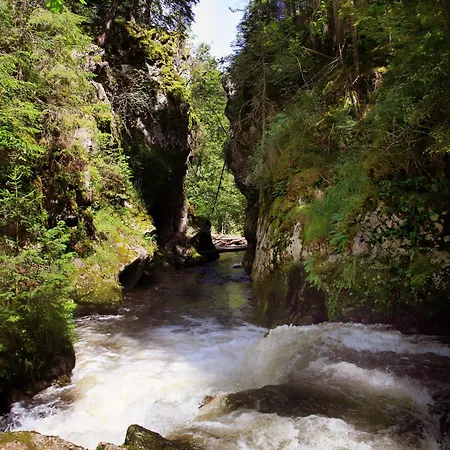 Brauereigasthof Rogg-2
