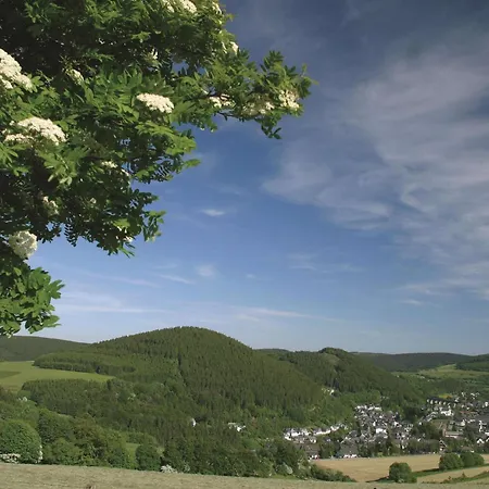 Best Western Plus Hotel Willingen-2