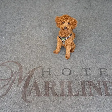Hotel Marilinda-3