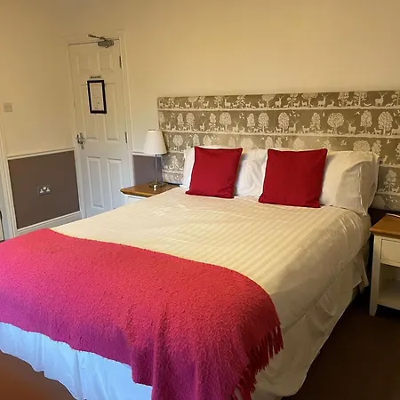 Oyo New Inn Hotel-3