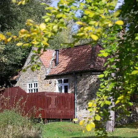 Keldy Forest Cabins - Forest Holidays-3