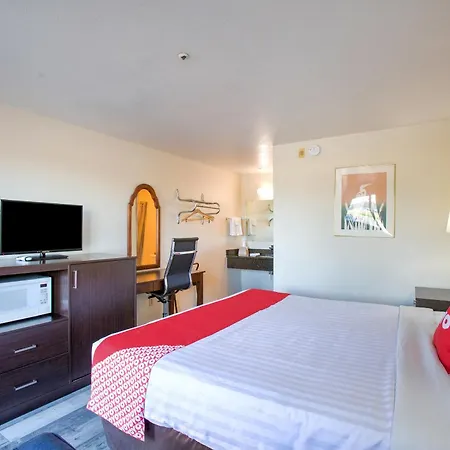 Oyo Woodland Hotel And Suites-3