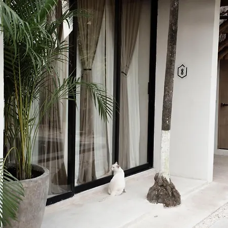 Tuup Tulum-2